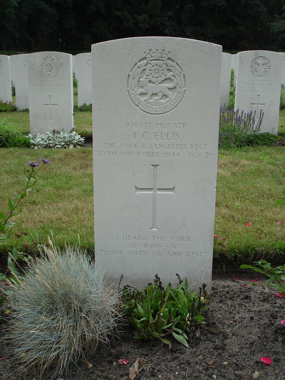 Thomas Carey Ellis Thomas Carey Ellis