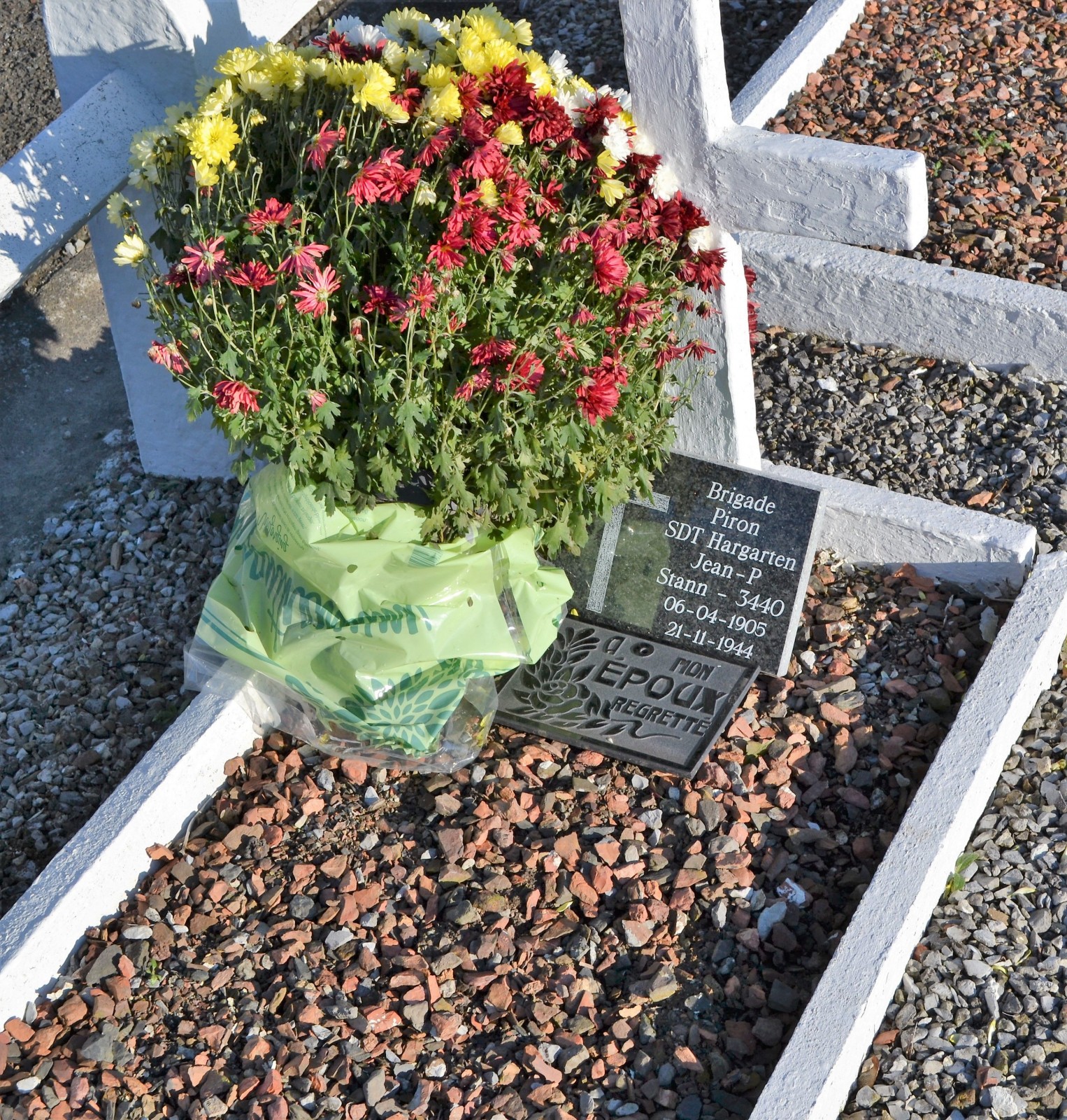 Jean Hangarten Jean Hangarten