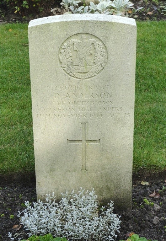 David Anderson David Anderson