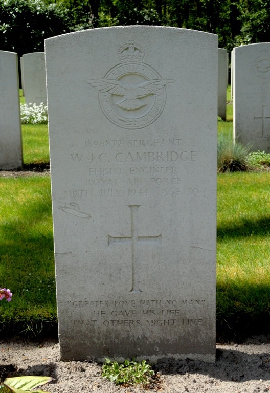 William James Cecil Cambridge William James Cecil Cambridge