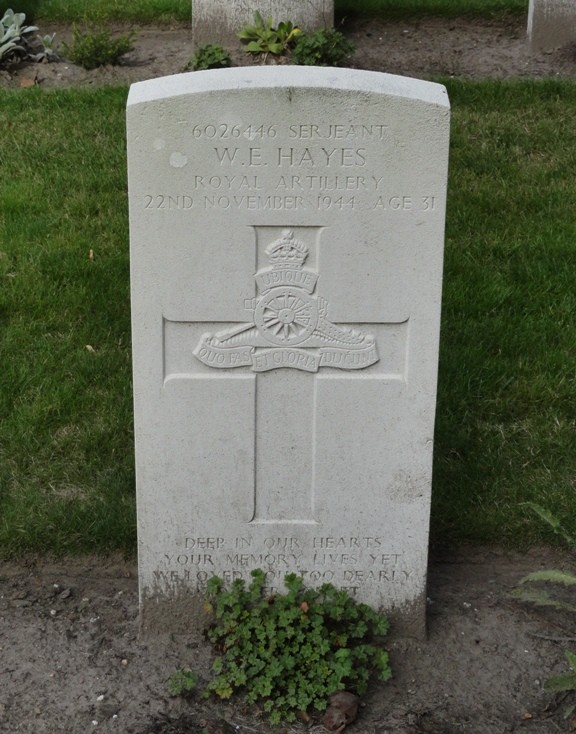 William (Bill) Edward Hayes William (Bill) Edward Hayes