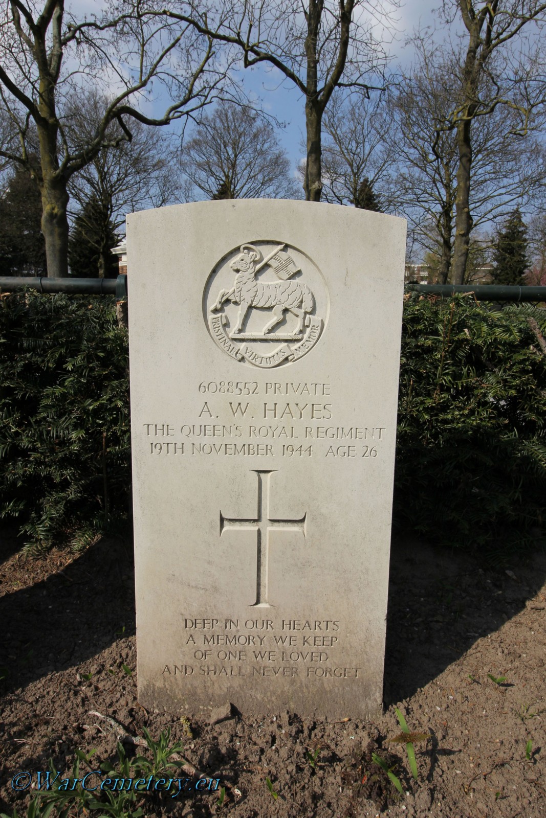 Arthur William Hayes Arthur William Hayes