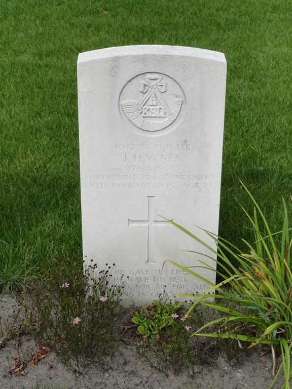 Job Haynes Job Haynes